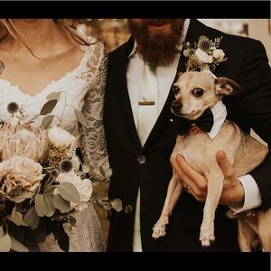 Dog Tuxedo Collar Wedding Best Dog Bow Tie